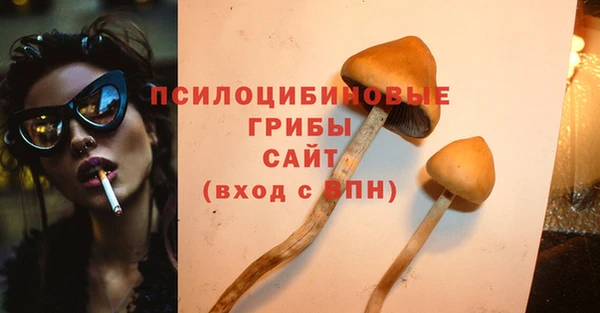 соль ск Анжеро-Судженск