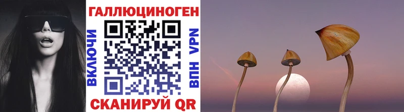 купить  цена  Узловая  Галлюциногенные грибы GOLDEN TEACHER 