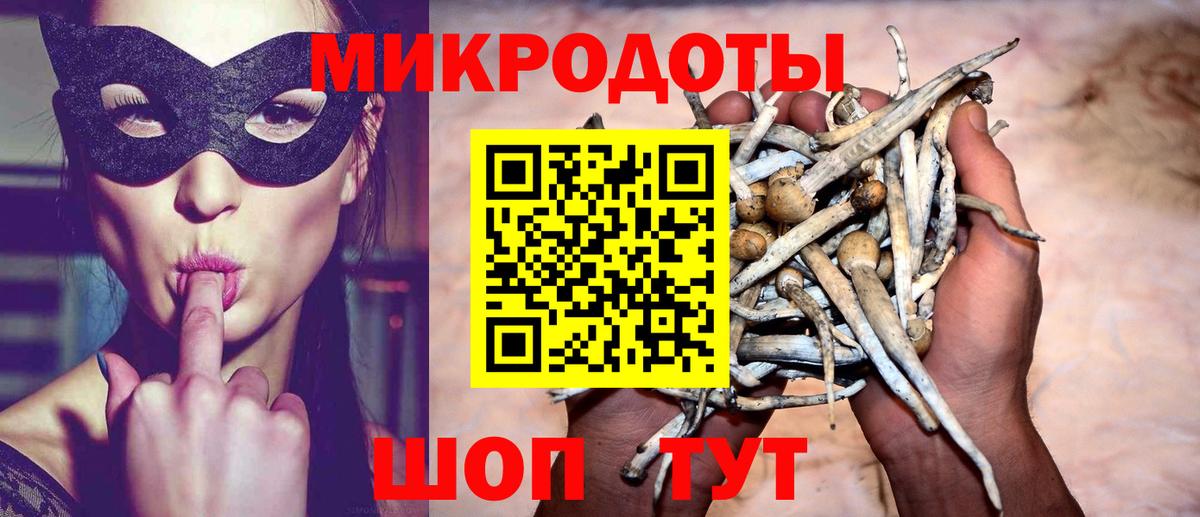 Галлюциногенные грибы прущие грибы Узловая