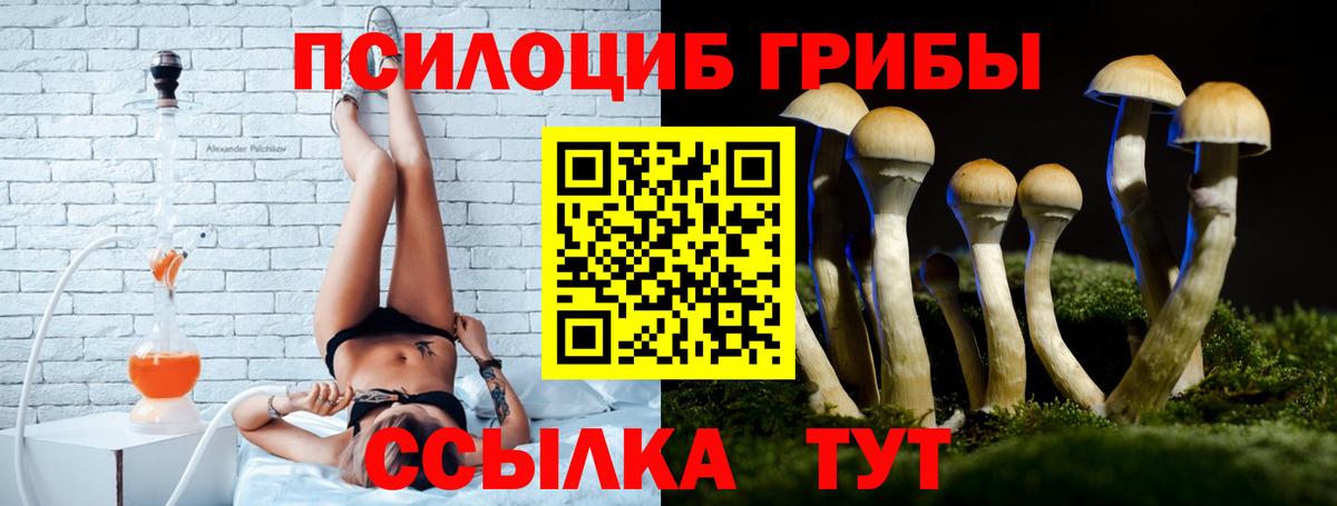 Узловая  Псилоцибиновые грибы ЛСД  Псилоцибиновые грибы Cubensis  Вход с VPN 